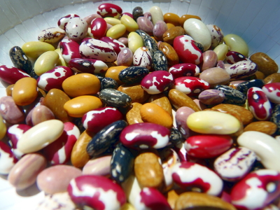 Native Dry Bean Assortment (bush type)